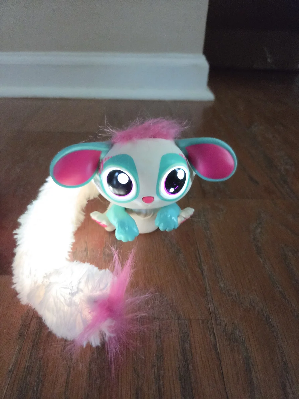 N/A cute interactive